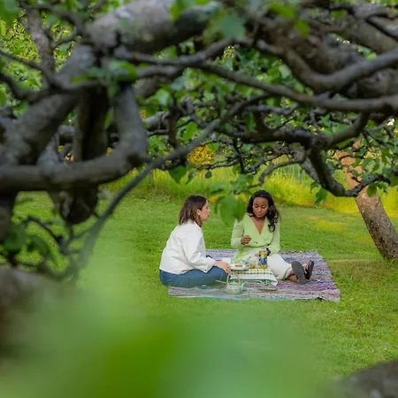 Bed & Breakfast Tammiston *