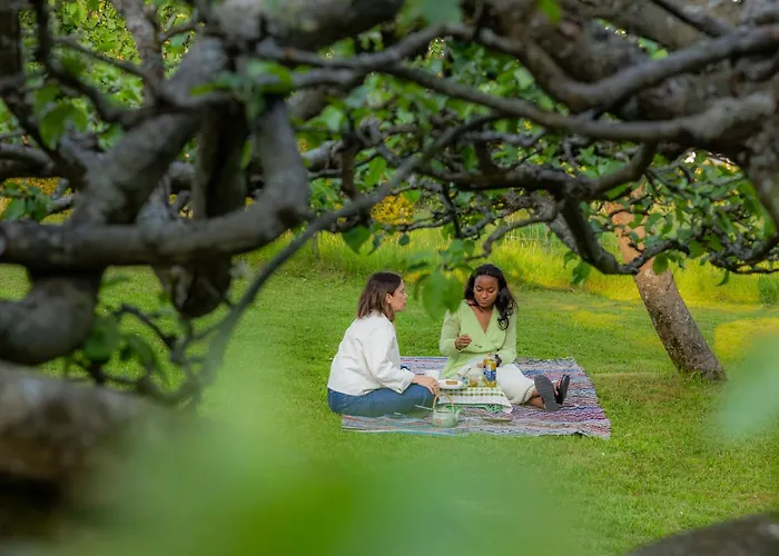 לינה וארוחת בוקר Tammiston *